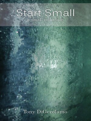 cover image of Start Small